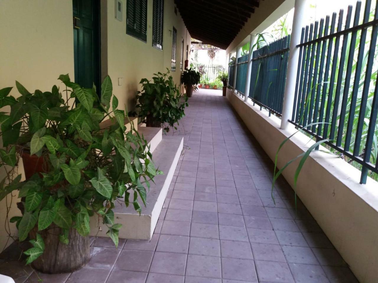 Ribeira Grande Country House Cha de Arroz Εξωτερικό φωτογραφία
