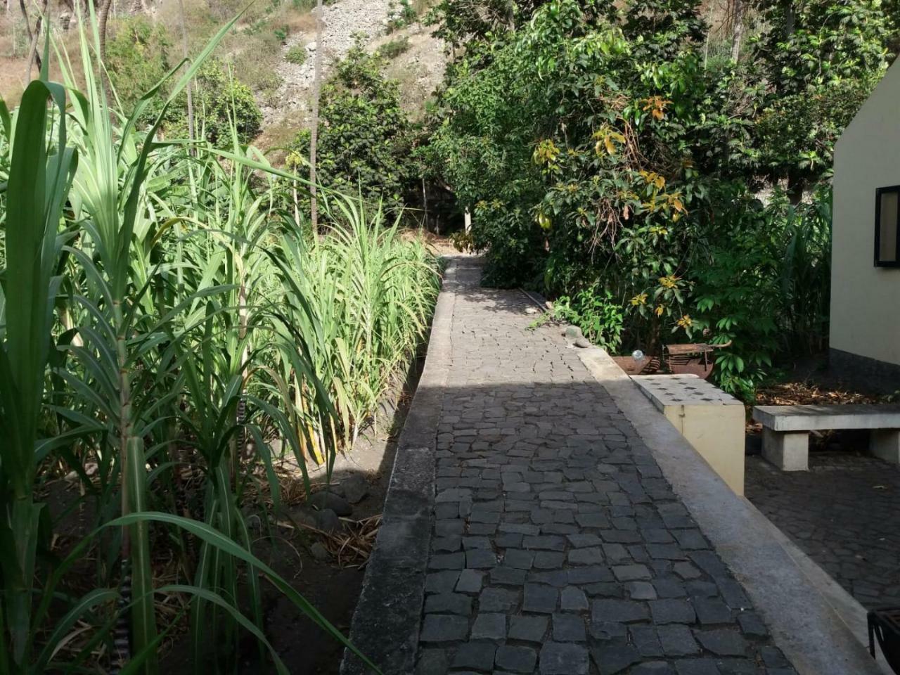 Ribeira Grande Country House Cha de Arroz Εξωτερικό φωτογραφία