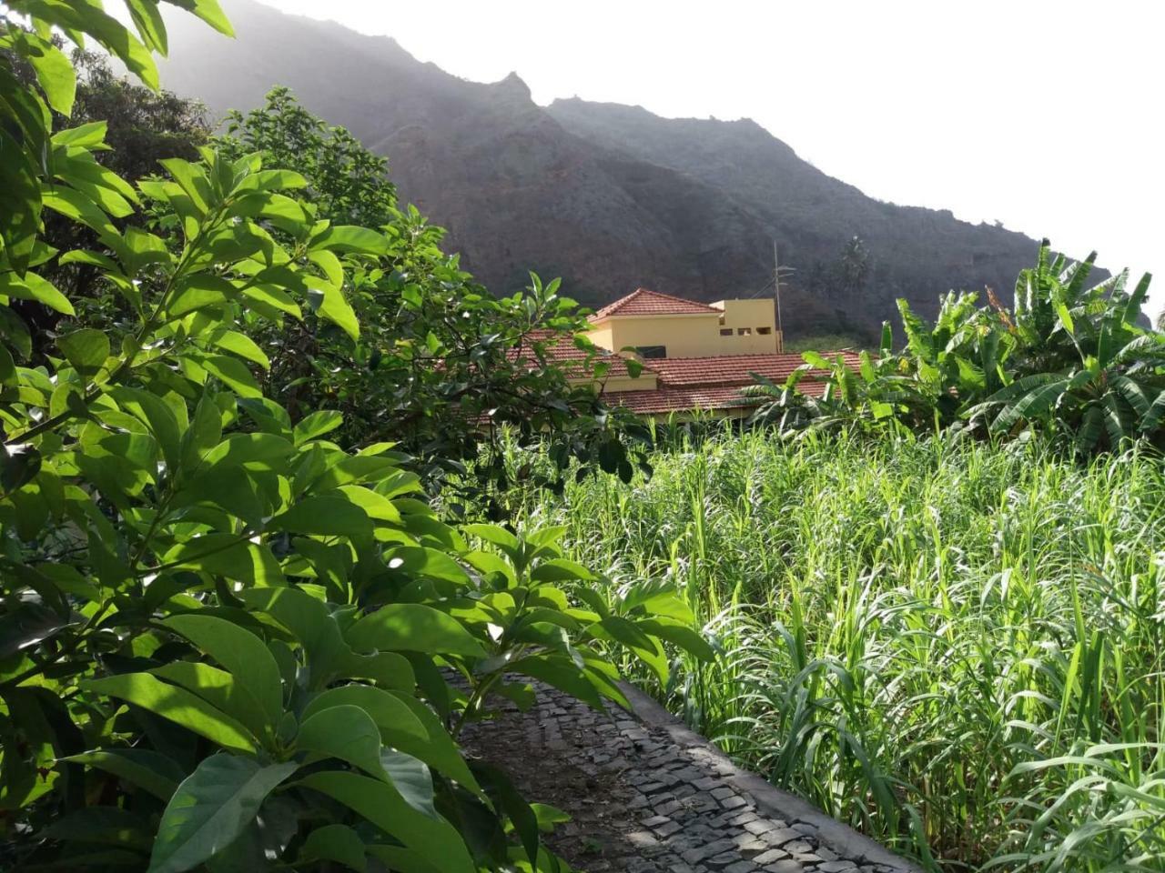 Ribeira Grande Country House Cha de Arroz Εξωτερικό φωτογραφία