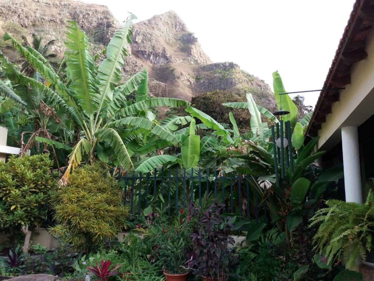 Ribeira Grande Country House Cha de Arroz Εξωτερικό φωτογραφία